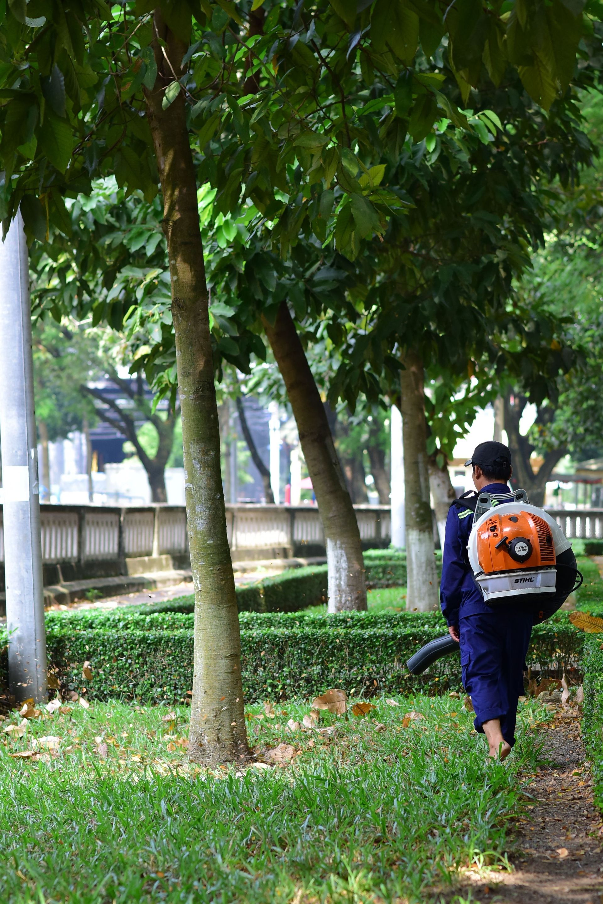 A gardener wearing a blower walks along a lush, tree-lined path in a city park.