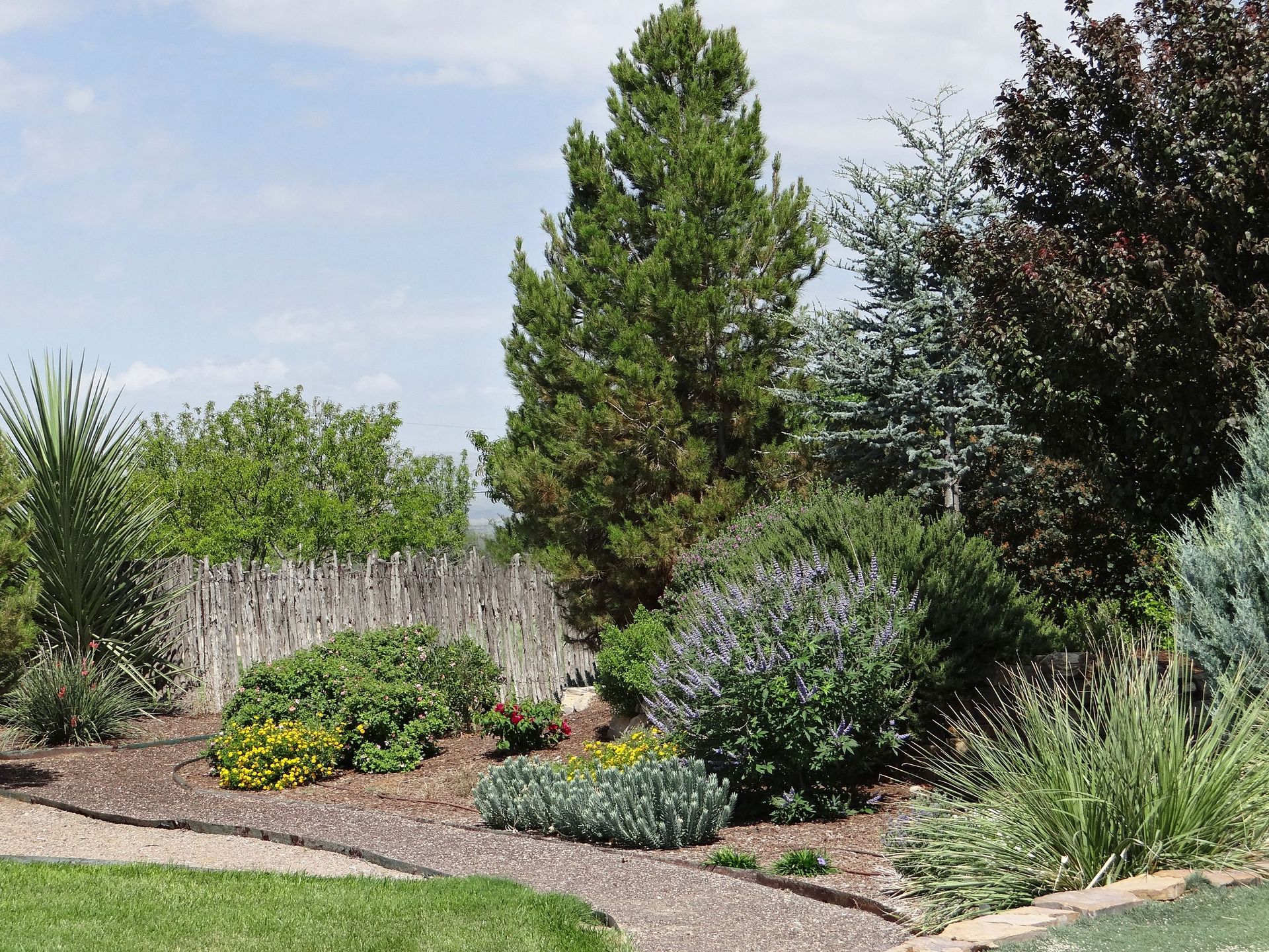 Tranquil garden scene with diverse plants and trees in Marathon, Texas under a clear sky.