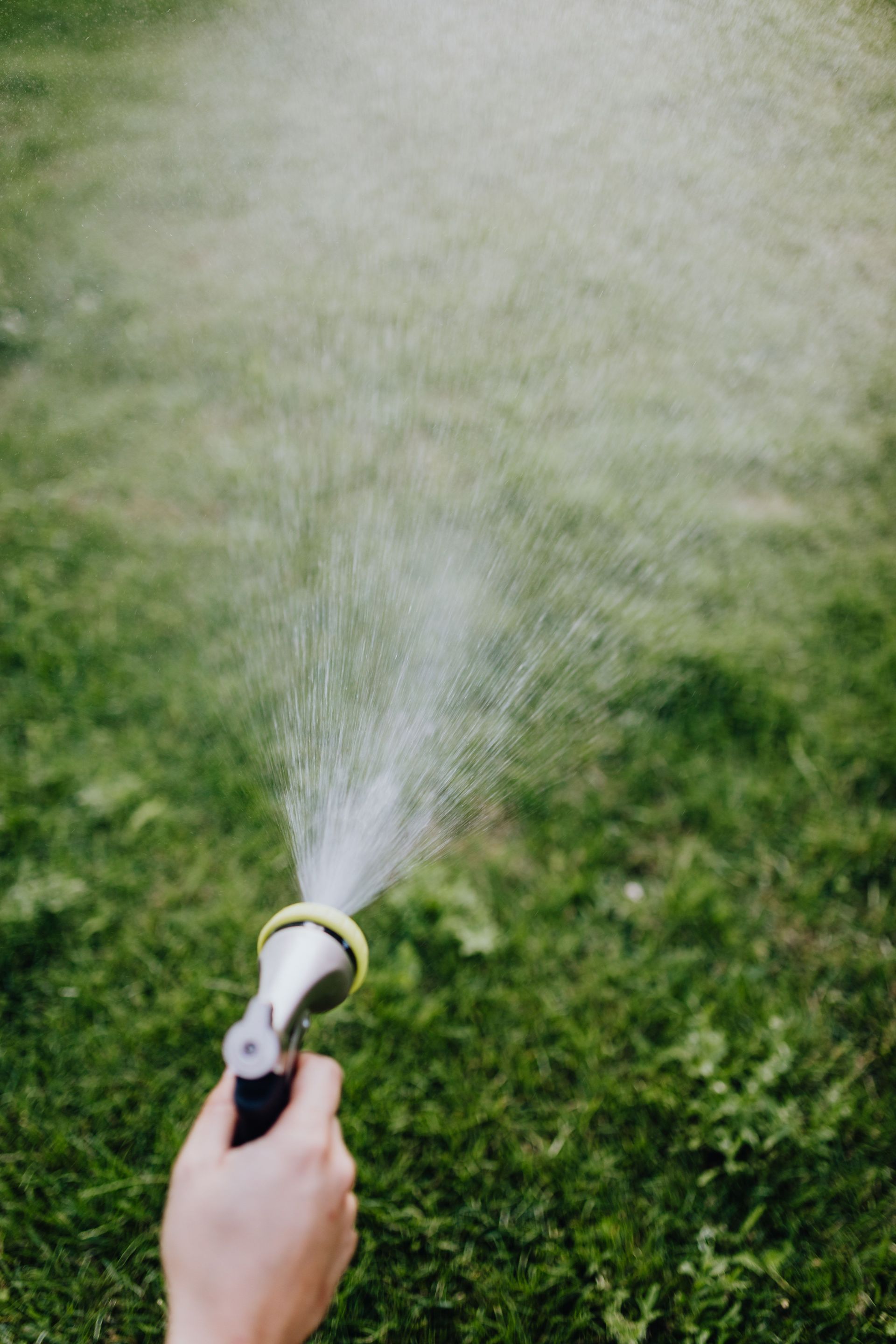 Close-up of a hand holding a hose spraying water on a green lawn outdoors in a sunny setting.